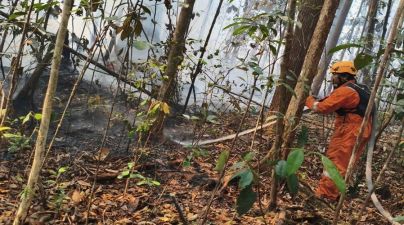 CFD Kembali Dibuka, Perdagangan UMKM Mulai Bergerak