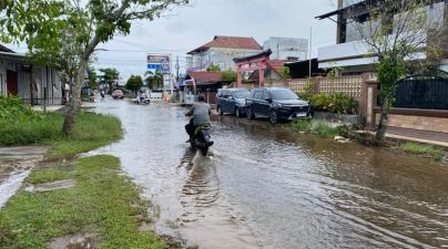 8 Pupuk Subsidi Diduga Dialihkan ke Perkebunan Sawit
