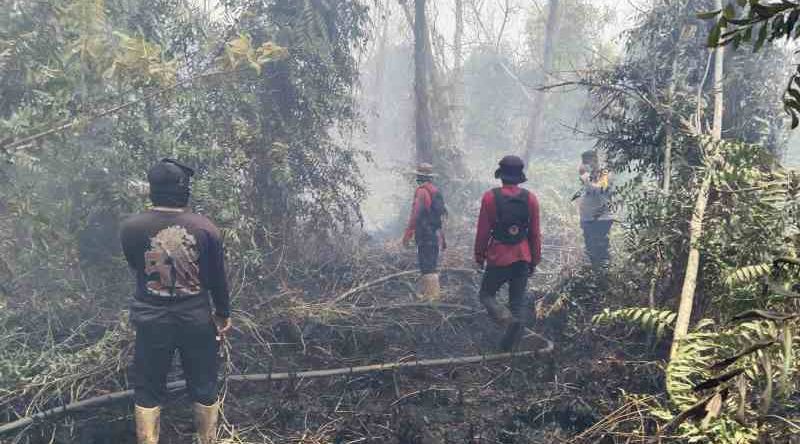 Karhutla di Jalan Misik Palangka Raya, Api Kembali Muncul Dekat Permukiman