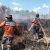 Karhutla Mulai Mengancam Kalteng, 117 Hotspot Mulai Ditemukan 