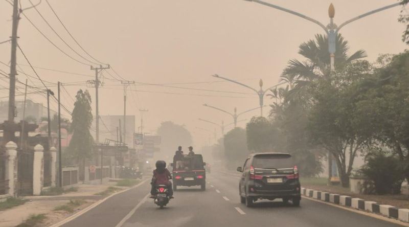 Api Kian Tak Terkendali, Karhutla Palangka Raya Capai 876 Kejadian