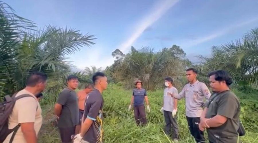 Header Warga Telaga Antang Temukan Tulang Diduga Kerangka Manusia di Semak Belukar