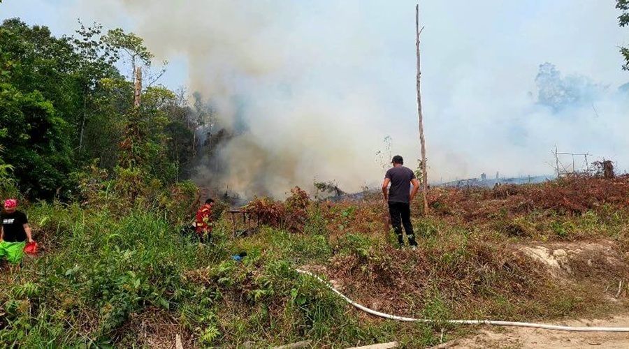 Header Sebulan Penerbangan Lumpuh, Konektivitas Terganggu