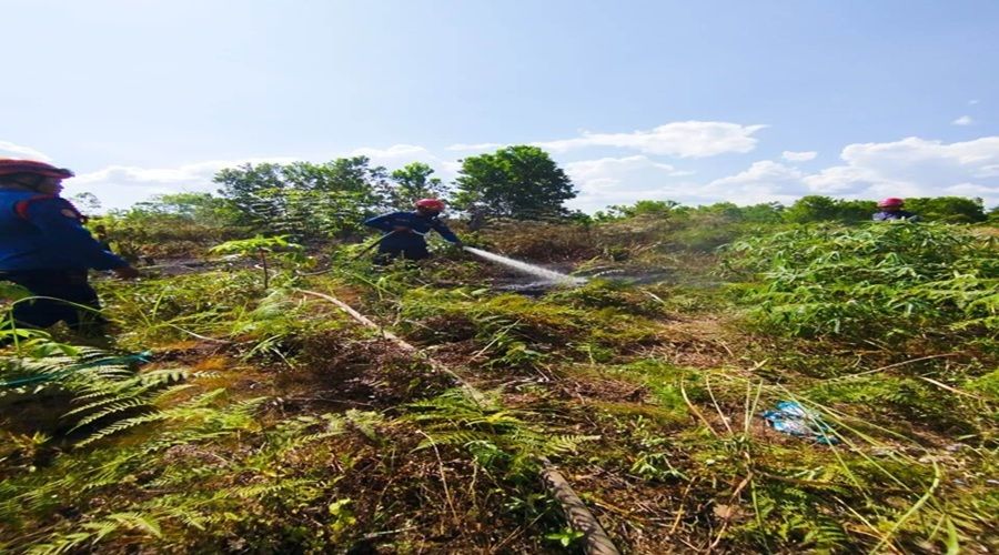 Header Diduga Sengaja, Lahan Terbakar di Baamang Hulu Kotim