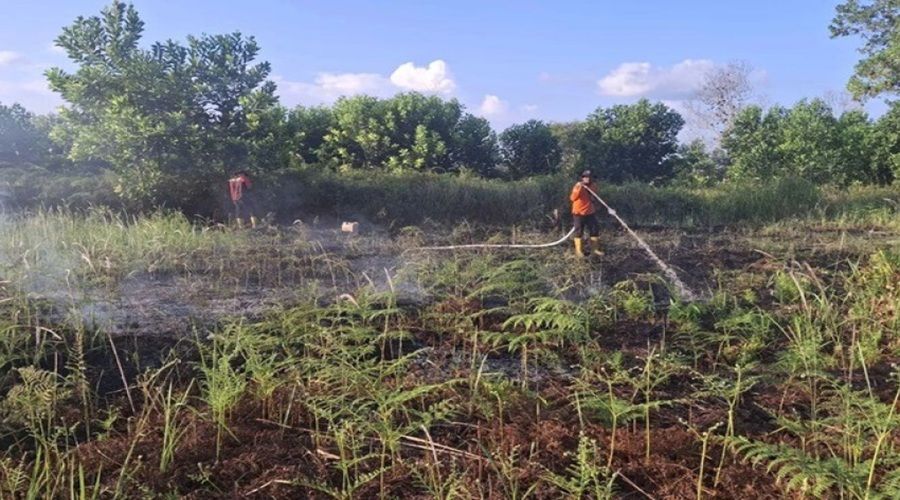 Header Puluhan  Hotspot Ditemukan Kabupaten  Kotim