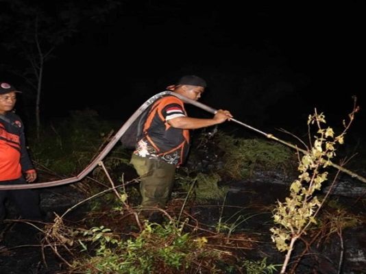 Hadapi Karhutla, Posko Kebakaran Lahan Kalteng Mulai Diaktifkan