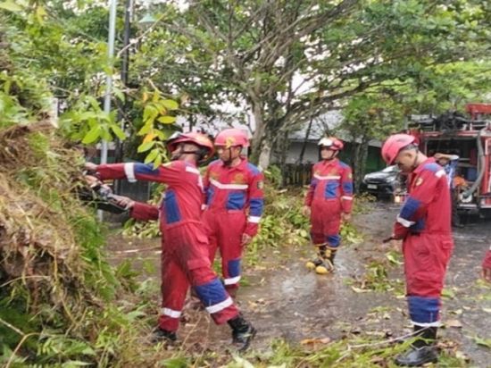 Masyarakat Palangka Raya Diminta Waspada Cuaca Ektrem, Jangan Berteduh di Bawah Pohon