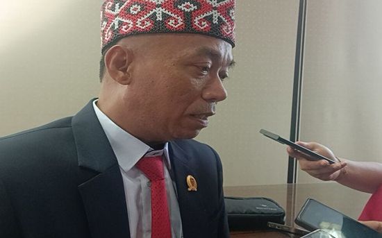 DPRD Kalteng Bahas Penghentian Tambang dengan Kementerian ESDM