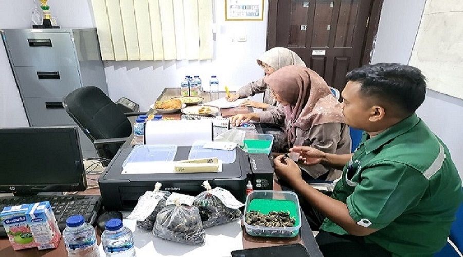 Header Guna Menjamin Standar Mutu Benih, PBT UPT BP3B Laksanakan Sertifikasi Benih Kelapa Sawit