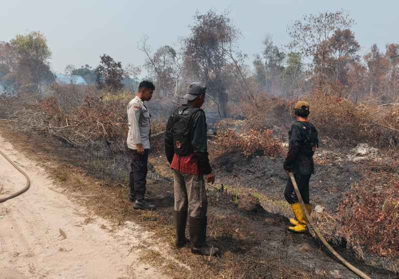 Header Dua Hektar Gambut Terbakar  di Langkai Permai Palangka Raya 