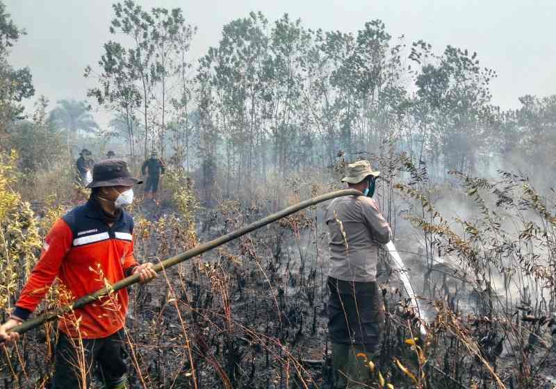 Header Api Nyaris Mendekati Kawasan  Permukiman, Karhutla 1 Hektare di Palangka Raya Dipadamkan