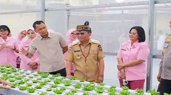 Perkuat Ketahanan Pangan, Pemprov Kalteng Dukung Inovasi Green House Ramah Lingkungan
