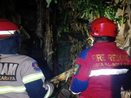 Kobaran Api di Pohon Pisang Gegerkan Permukiman di Palangka Raya