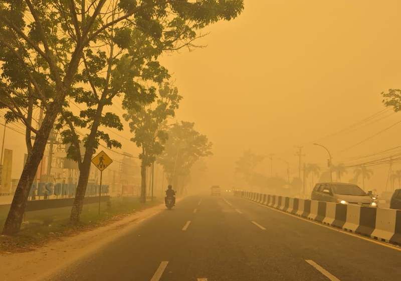 Header El Nino Diprediksi Bertahan hingga Awal 2027, Amuk Karhutla di Kalteng Berpotensi Lebih Panjang