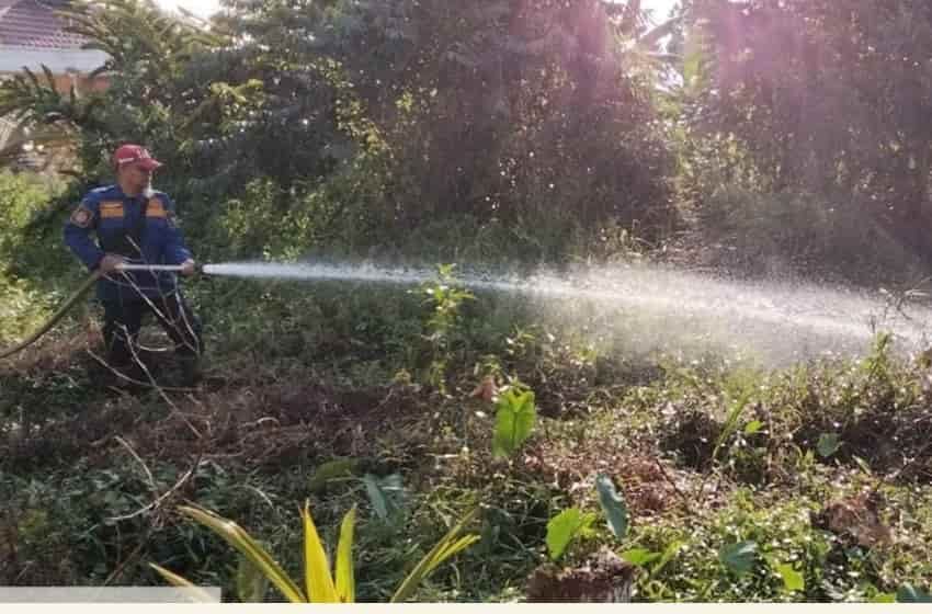 Header Karhutla Semakin Marak, Pemadaman Terhambat Keringnya Sumber Air