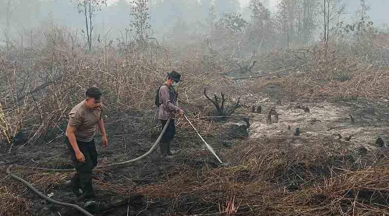 Bara Masih Tersisa di Gambut Kompleks Pemakaman, Polsek Pahandut Lanjutkan Pemadaman