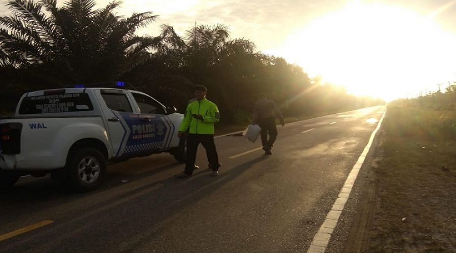 Header Pria Bertato Tengkorak Tewas di Jalan KM 50 Palangka Raya