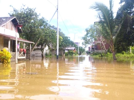 Banjir Terjang 80 Rumah di Desa Sungai Hanya Antang Kalang  hingga 1,5 Meter