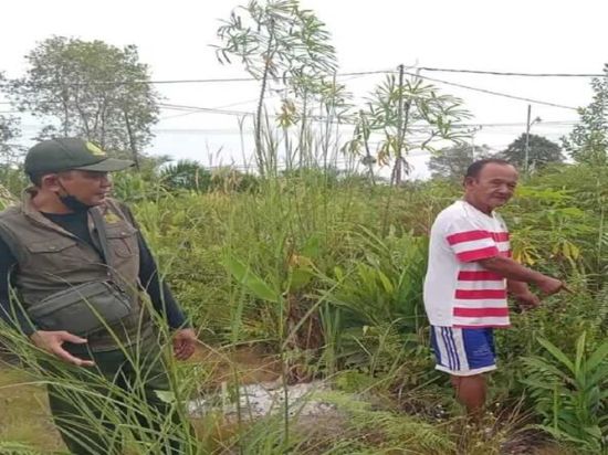 Beruang Madu Masuk Permukiman Baamang Barat, Warga Sampit Diminta Waspada