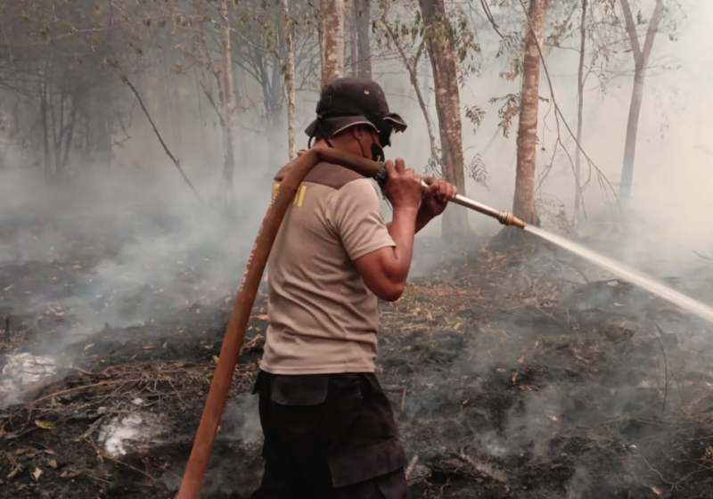 Header Gambut Marang Kembali Membara, Satgas Kerahkan Water Canon di Km 17 Palangka Raya