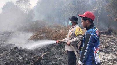 Dua Karyawan  Tertangkap Memanen Sawit 917 Kilogram TBS 