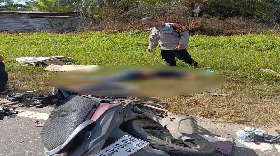 Header Hantam Pikap, Pesepeda Motor Tewas di Tjilik Riwut Km 48 Palangka Raya