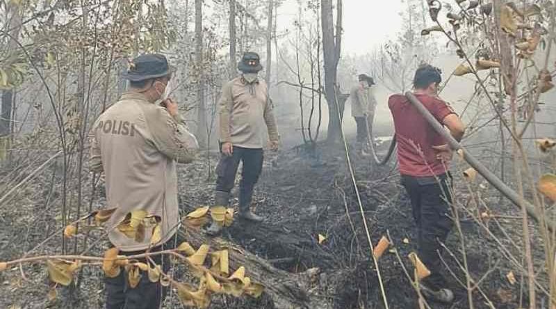 Api Padam Belum Berarti Aman, Bara Karhutla Mengintai hingga 12 Meter di Bawah