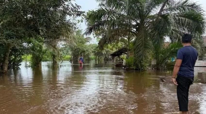 120 KK Terdampak, Desa Sei Ubar Mandiri Terendam Banjir Hingga Setengah Meter