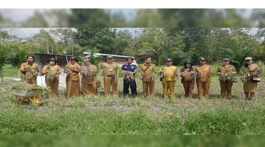 Header Panen Bawang Merah di Tangkiling, Bukti Dukungan Pemprov Kalteng Tingkatkan Produktivitas Petani