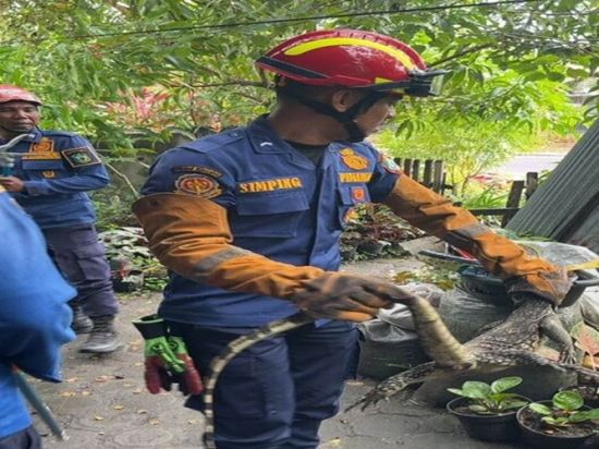 Petugasnya Banyak Miliki Sertifikasi, Damkar Kotim Telah Tangani 500 Kasus