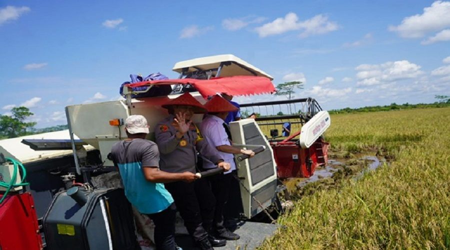 Header Hadiri Panen Raya Serentak, Gubernur Kalteng Agustiar Sabran Sampaikan Langsung Ucapan Terima Kasih Petani Kepada Presiden