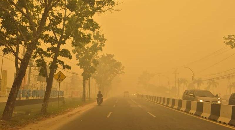 El Nino Diprediksi Bertahan hingga Awal 2027, Amuk Karhutla di Kalteng Berpotensi Lebih Panjang