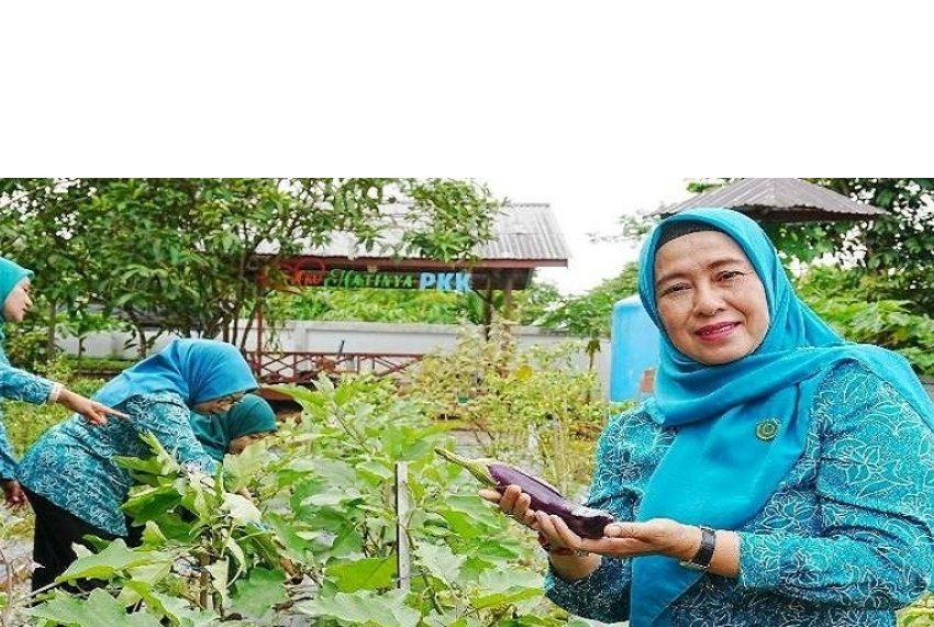 Header Dari Pekarangan ke Ketahanan Pangan: Gerakan PKK Barut Bangun Kemandirian Keluarga