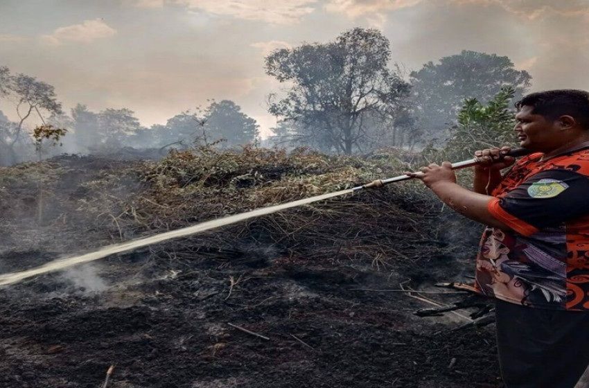 Header Luas Kabakaran Hutan di Kalteng Capai 210,77 Hektar