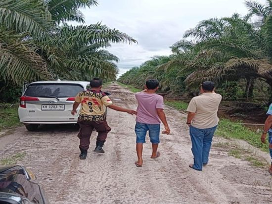 Polisi Ungkap Dugaan Penggelapan Buah Sawit di PT MAPA