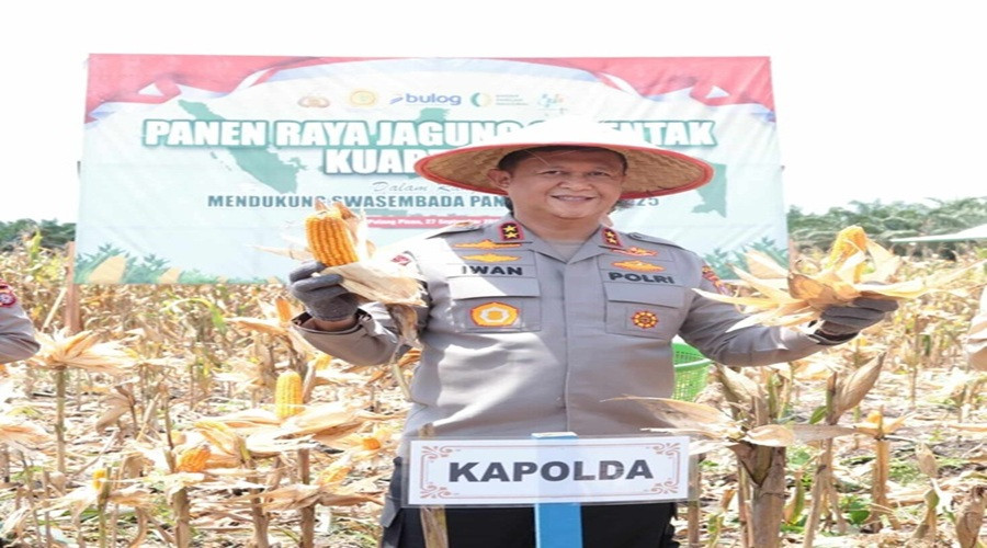 Header Polda Kalteng Panen 131,92 Ton Jagung
